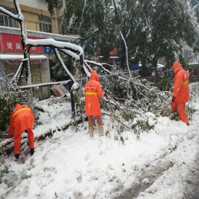 新站區(qū)道路清掃保潔、綠化管養(yǎng)項目